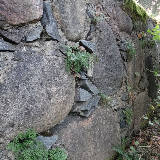 Wall-rue habitat