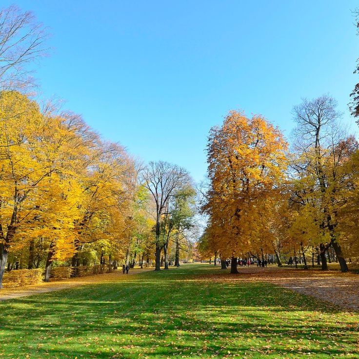 Łazienki Park