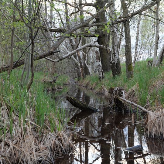 Peitzer Teiche mit dem Teichgebiet Bärenbrück und Laßzinswiesen