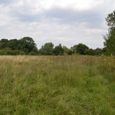 Thriplow Meadows