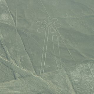 Nazca Flower geoglyph