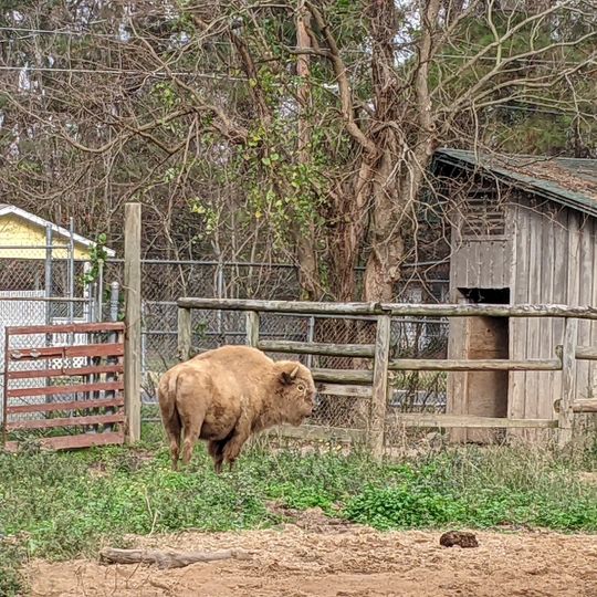 Louisiana Purchase Gardens and Zoo