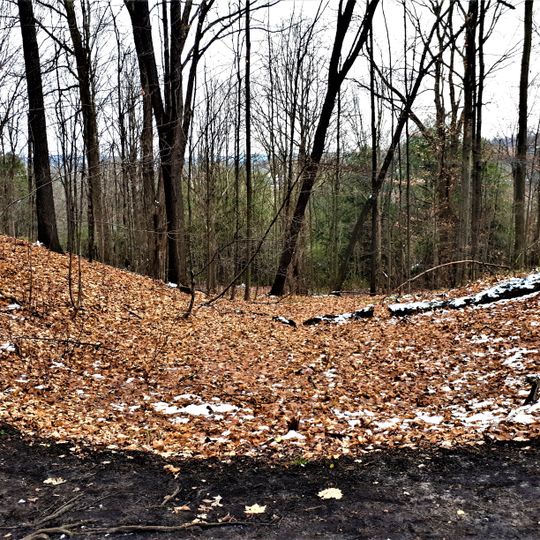 Sheppard's Bush Conservation Area