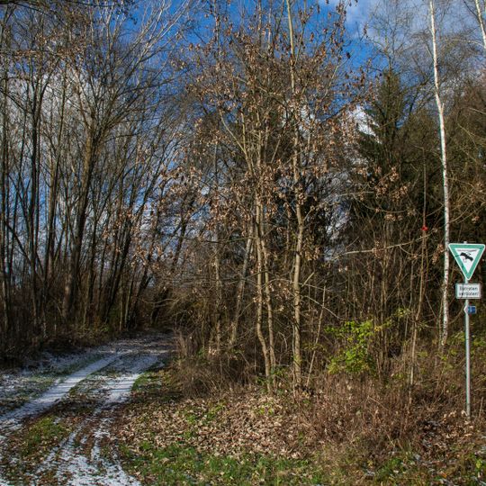 Halbinsel im Kleinen Brombachsee