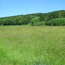 Flachsrasen bei Dittershausen