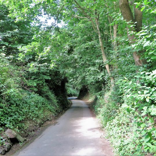 Hohlweg am Kronocken