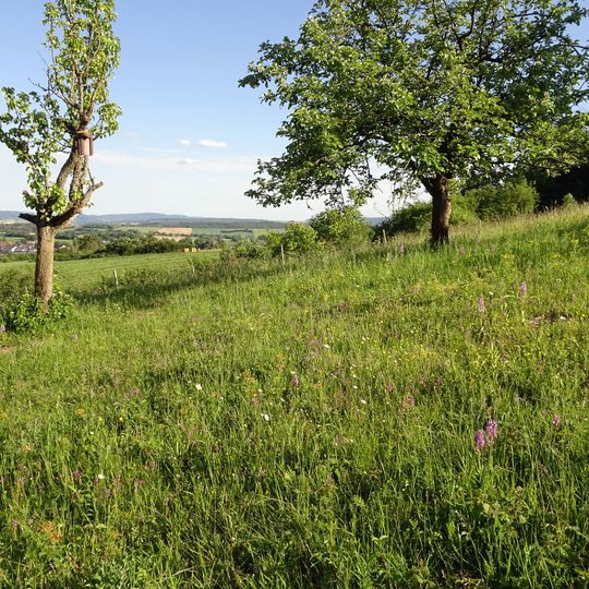 Wald und Magerrasen bei Roßdorf