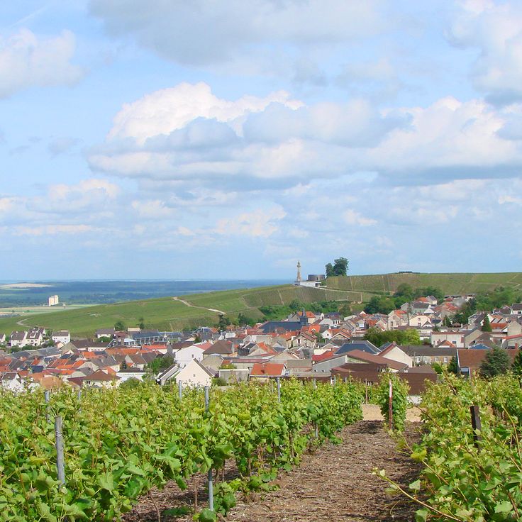 Parque Natural Regional Montaña de Reims
