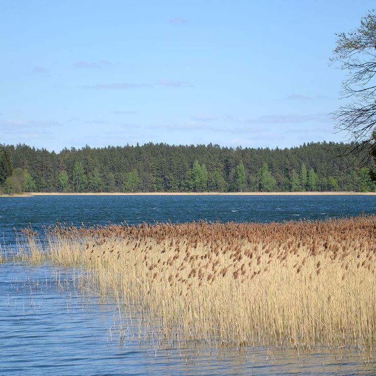 Parc paysager de Suwałki