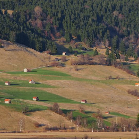 Ammertaler Wiesmahdhänge