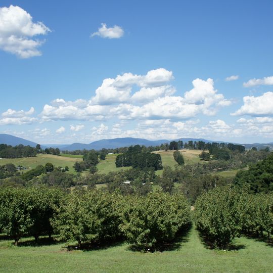 Yarra Valley