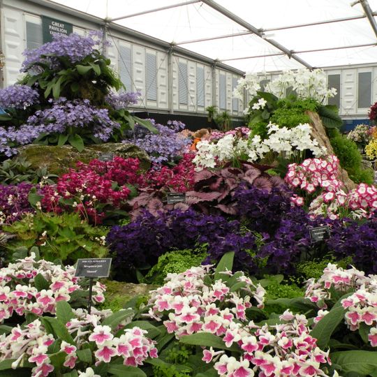 Chelsea Flower Show
