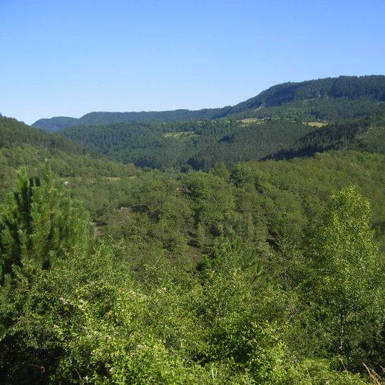 Western European broadleaf forests