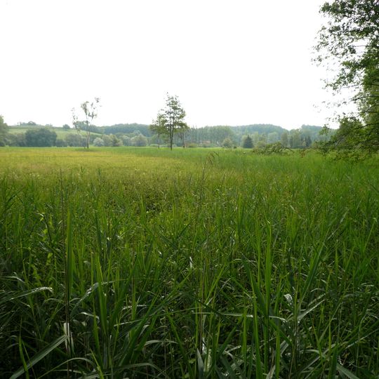 Altweiherwiese und Taldorfer Bach