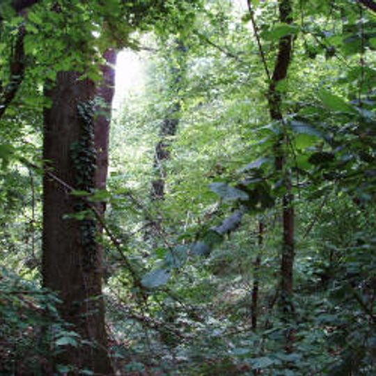 Riserva naturale Bosco Siro Negri