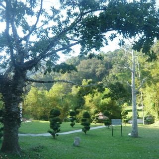 Jardim Botânico de Penang