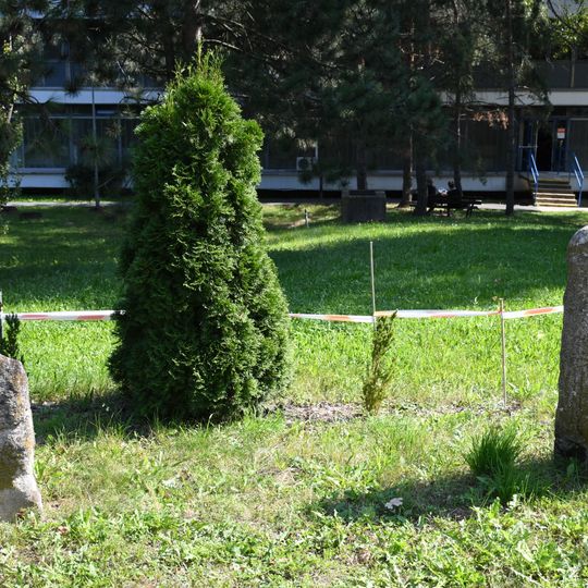 Penitence crosses at Bohunice Hospital