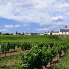 Hochheimer Domdechaney