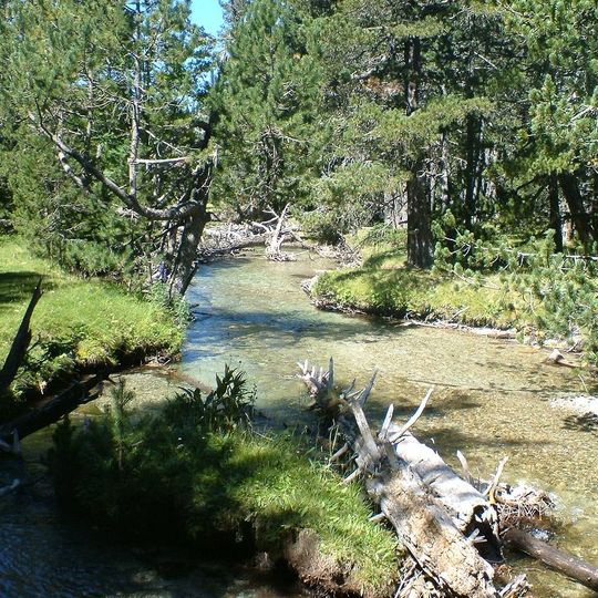 Planell d'Aigüestortes