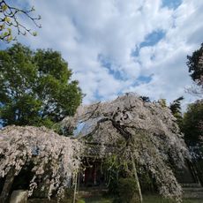 能満寺