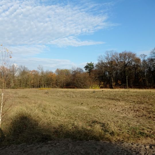 Murellenschlucht und Schanzenwald