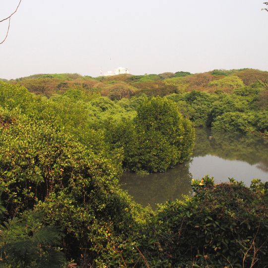 Mangalavanam Bird Sanctuary