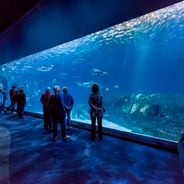 Откройте для себя Северную Каролину: парки, исторические места, пляжи и семейные достопримечательности