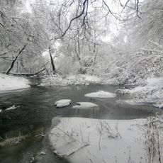 Lis nad Sluchchiu forestry preserve