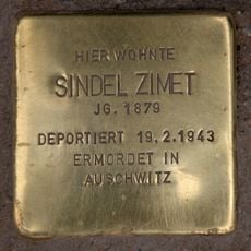 Sindel Zimet