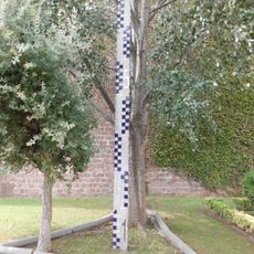 Talla mètrica de la natura