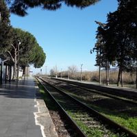 Distretto di Buharkent