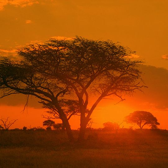 Parco nazionale di Matobo