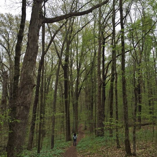 Pioneer Mothers Memorial Forest