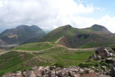 The view 1