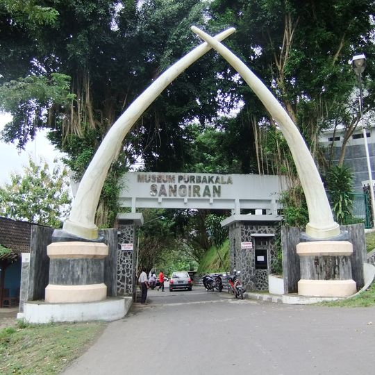 Musiyum Manungsa Purwa Sangiran