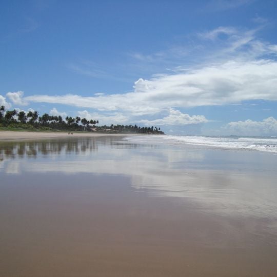 Porto de Galinhas beach