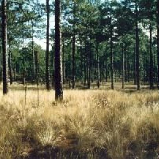 Carolina Sandhills National Wildlife Refuge
