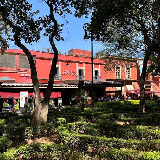 Corazón de Maguey