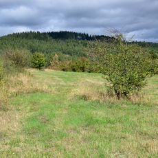 Burgberk (Perštejn)