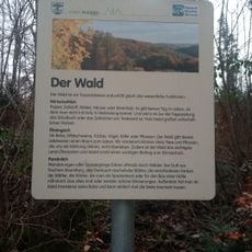Waldpfad Eberstadt