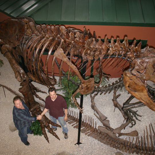 Museum of World Treasures