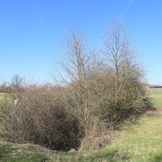 Gipskarstquelle S von Falkenstein