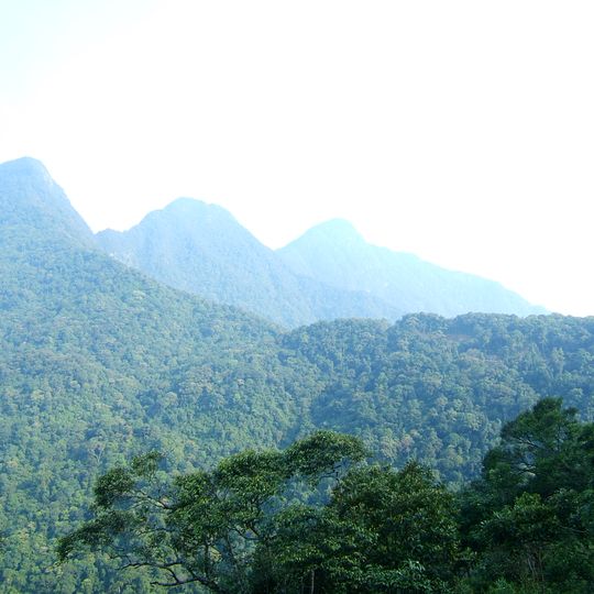 Tam Dao National Park