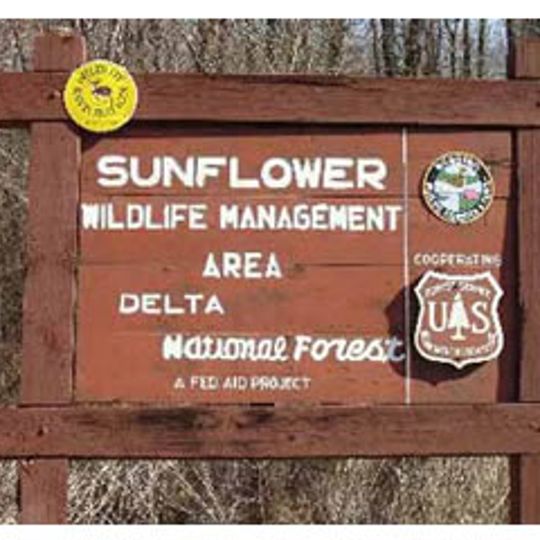 Delta National Forest