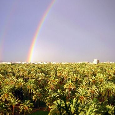 Regione di Valencia in Spagna: principali siti, monumenti e luoghi da visitare