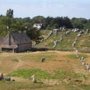 Carnac stones
