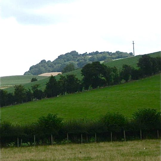 Ffridd Faldwyn, Montgomery