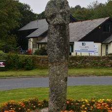 Crewel Cross