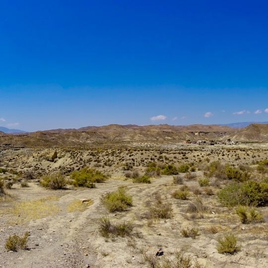 Tabernas Desert