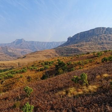 South Africa in full scale: from cities to wild trails